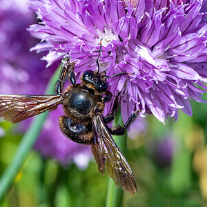 OF2_41477.jpg