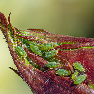 OF2_41571.jpg