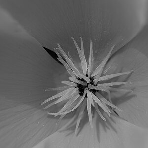 P1023308a_klein_sw.jpg