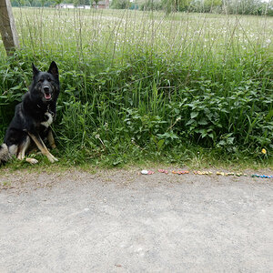 DSCN4772.jpg