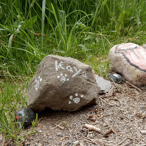 DSCN4843.jpg