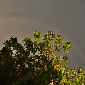 DSCN4851.jpg