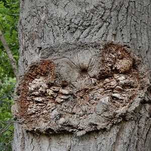 DSCN4858.jpg