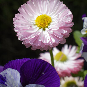 _DSC7580NF.jpg