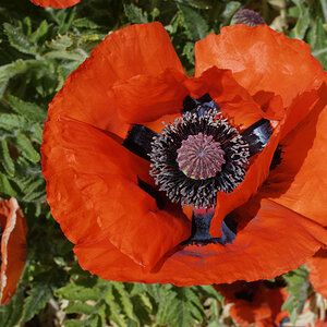 _DSC7587NF.jpg