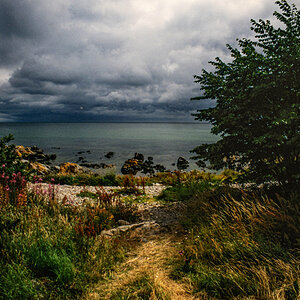 DSC_7236-web.jpg