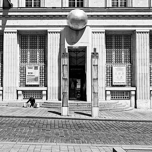 DSC_4138_DxO-1.jpg