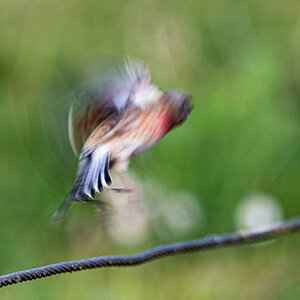 OF5_00523.jpg