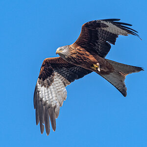 OF5_00455.jpg