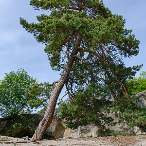 OF-59666.jpg
