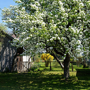 DSC_0682_DxO.jpg