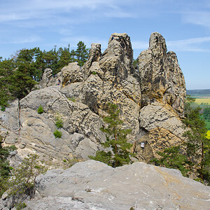 OF-59651.jpg