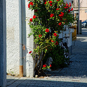 MMM_3067_DxO - Kopie.jpg