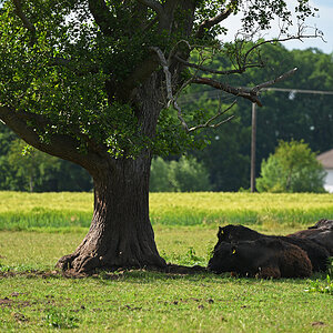 811_5884t12tp6l12fks70sp50.jpg