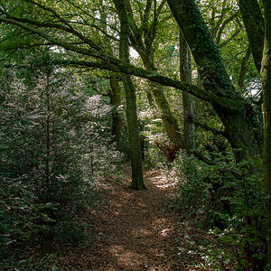 DSC_0861.jpg
