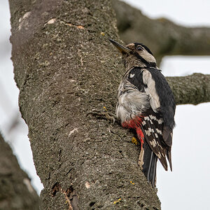 OF5_00905.jpg