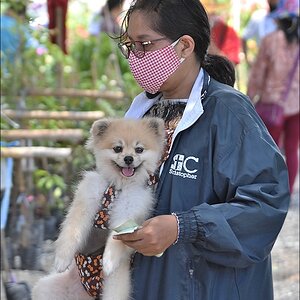 comp_DSC_4120.jpg