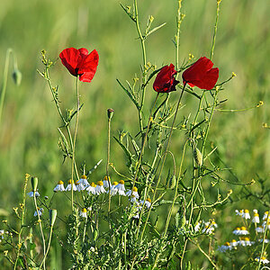 811_5893at5l10fks70p1_2.jpg