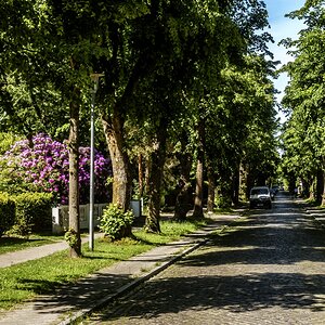 TZ_DSC01582_A.jpg