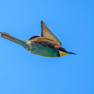 OF5_01312.jpg