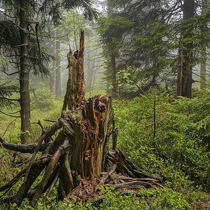 D81_2780_83.jpg