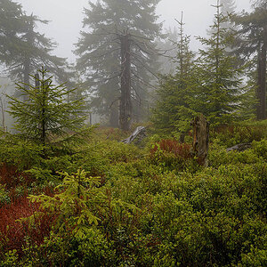 D81_2793.jpg