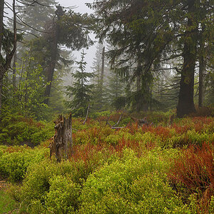 D81_2796.jpg