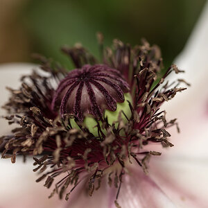 NF_DSC_5038.jpg