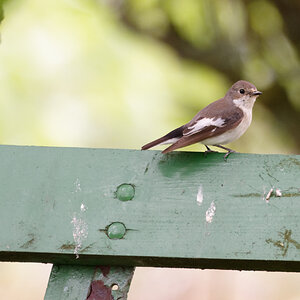 D72_5791_DxO.jpg
