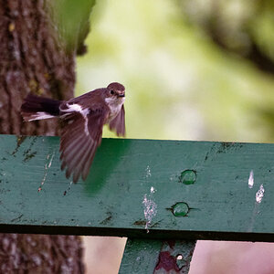 D72_5805_DxO.jpg