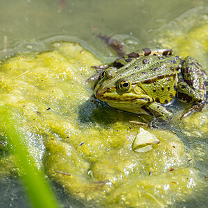 OF5_01634.jpg
