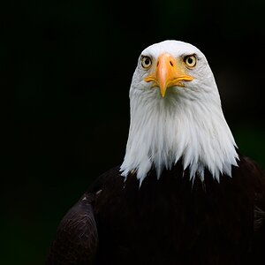 DSC_7743.jpg