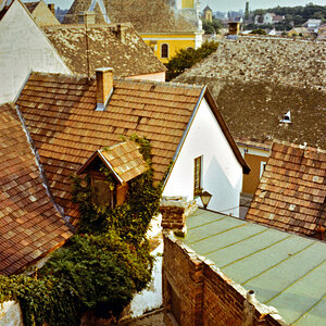198408_II-19_nf.jpg