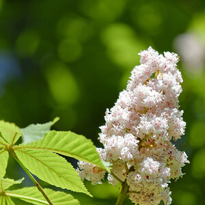 _DSC7603NF.jpg