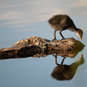 _DSC7130-Bearbeitet-1.jpg