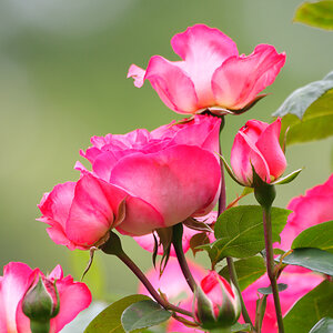 D72_5824_DxO.jpg