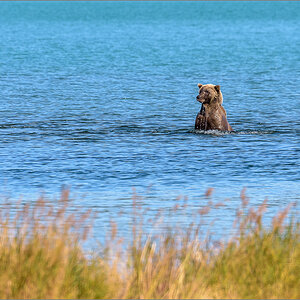Alaska_2018-2086.jpg