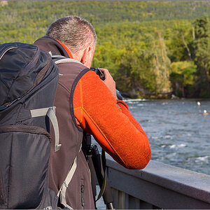 Alaska_2018-2420.jpg