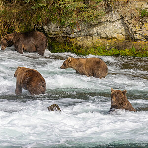 Alaska_2018-2148.jpg