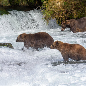 Alaska_2018-2140.jpg
