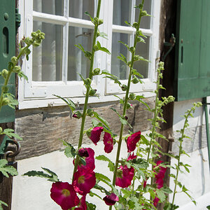 Museum-Detmold-9.jpg