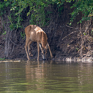 OF5_02059.jpg