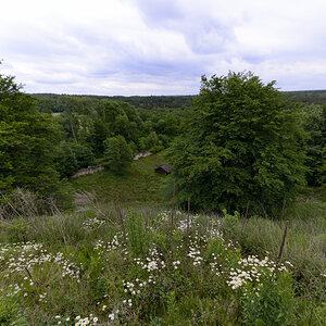 Sababurg - Dornröschenschloß_026_01.JPG