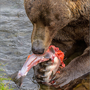 Alaska_2018-2840.jpg