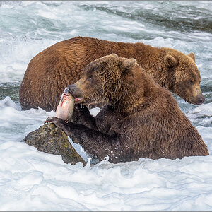 Alaska_2018-2165.jpg