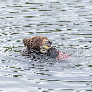 Alaska_2018-2651.jpg