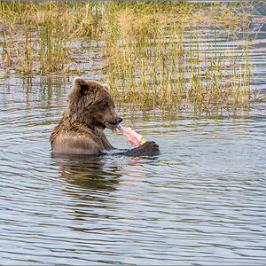 Alaska_2018-2914.jpg