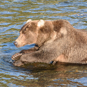 Alaska_2018-2656.jpg