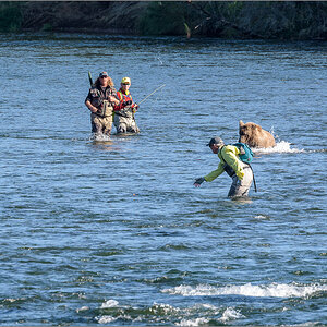 Alaska_2018-2317.jpg