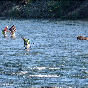 Alaska_2018-2314.jpg